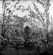 albergo (Positivo) di Foto Elisabeth Fuchs-Hauffen, Überlingen/Bodensee,Fuchs-Hauffen, Elisabeth (1977/04/01 - 1977/04/43)