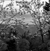 albergo (Positivo) di Foto Elisabeth Fuchs-Hauffen, Überlingen/Bodensee,Fuchs-Hauffen, Elisabeth (1977/04/01 - 1977/04/43)