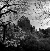 albergo (Positivo) di Foto Elisabeth Fuchs-Hauffen, Überlingen/Bodensee,Fuchs-Hauffen, Elisabeth (1977/04/01 - 1977/04/43)