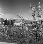 Schloß Fahlburg (Tisens) (Positivo) di Foto Elisabeth Fuchs-Hauffen, Überlingen/Bodensee,Fuchs-Hauffen, Elisabeth (1977/04/01 - 1977/04/43)