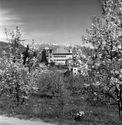 Schloß Fahlburg (Tisens) (Positivo) di Foto Elisabeth Fuchs-Hauffen, Überlingen/Bodensee,Fuchs-Hauffen, Elisabeth (1977/04/01 - 1977/04/43)