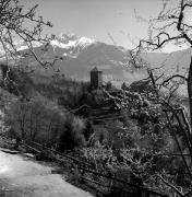 Schloss Tirol (Positivo) di Foto Elisabeth Fuchs-Hauffen, Überlingen/Bodensee,Fuchs-Hauffen, Elisabeth (1977/04/01 - 1977/04/43)