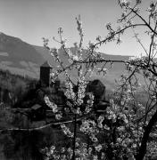 Schloss Tirol (Positivo) di Foto Elisabeth Fuchs-Hauffen, Überlingen/Bodensee,Fuchs-Hauffen, Elisabeth (1977/04/01 - 1977/04/43)