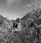Schloß Ried (Ritten) (Positivo) di Foto Elisabeth Fuchs-Hauffen, Überlingen/Bodensee,Fuchs-Hauffen, Elisabeth (1977/04/01 - 1977/04/43)