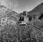 Schloß Ried (Ritten) (Positivo) di Foto Elisabeth Fuchs-Hauffen, Überlingen/Bodensee,Fuchs-Hauffen, Elisabeth (1977/04/01 - 1977/04/43)