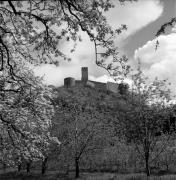 Schloß Sigmundskron (Bozen) (Positivo) di Foto Elisabeth Fuchs-Hauffen, Überlingen/Bodensee,Fuchs-Hauffen, Elisabeth (1977/04/01 - 1977/04/43)