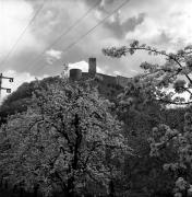 Schloß Sigmundskron (Bozen) (Positivo) di Foto Elisabeth Fuchs-Hauffen, Überlingen/Bodensee,Fuchs-Hauffen, Elisabeth (1977/04/01 - 1977/04/43)