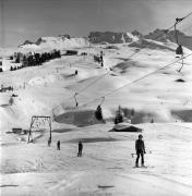Skifahrer (Positivo) di Foto Elisabeth Fuchs-Hauffen, Überlingen/Bodensee,Fuchs-Hauffen, Elisabeth (1977/02/01 - 1977/02/28)