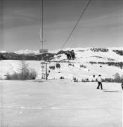 Skifahrer (Positivo) di Foto Elisabeth Fuchs-Hauffen, Überlingen/Bodensee,Fuchs-Hauffen, Elisabeth (1977/02/01 - 1977/02/28)