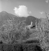 frutteto (Positivo) di Foto Elisabeth Fuchs-Hauffen, Überlingen/Bodensee,Fuchs-Hauffen, Elisabeth (1976/04/01 - 1976/04/43)