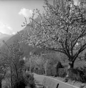 Wanderer/Ausflügler (Positivo) di Foto Elisabeth Fuchs-Hauffen, Überlingen/Bodensee,Fuchs-Hauffen, Elisabeth (1976/04/01 - 1976/04/43)