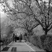 Wanderer/Ausflügler (Positivo) di Foto Elisabeth Fuchs-Hauffen, Überlingen/Bodensee,Fuchs-Hauffen, Elisabeth (1976/04/01 - 1976/04/43)
