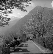 Wanderer/Ausflügler (Positivo) di Foto Elisabeth Fuchs-Hauffen, Überlingen/Bodensee,Fuchs-Hauffen, Elisabeth (1976/04/01 - 1976/04/43)