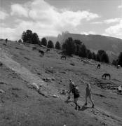 Wanderer/Ausflügler (Positivo) di Foto Elisabeth Fuchs-Hauffen, Überlingen/Bodensee,Fuchs-Hauffen, Elisabeth (1976/06/01 - 1976/06/63)