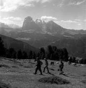 cavallo (Positivo) di Foto Elisabeth Fuchs-Hauffen, Überlingen/Bodensee,Fuchs-Hauffen, Elisabeth (1976/06/01 - 1976/06/63)