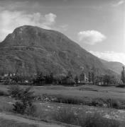 stagno (Positivo) di Foto Elisabeth Fuchs-Hauffen, Überlingen/Bodensee,Fuchs-Hauffen, Elisabeth (1976/10/01 - 1976/10/31)