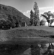 stagno (Positivo) di Foto Elisabeth Fuchs-Hauffen, Überlingen/Bodensee,Fuchs-Hauffen, Elisabeth (1976/10/01 - 1976/10/31)
