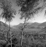 Panorama (Positivo) di Foto Elisabeth Fuchs-Hauffen, Überlingen/Bodensee,Fuchs-Hauffen, Elisabeth (1977/04/01 - 1977/04/43)