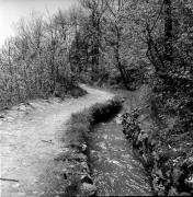 Promenade (Positivo) di Foto Elisabeth Fuchs-Hauffen, Überlingen/Bodensee,Fuchs-Hauffen, Elisabeth (1977/04/01 - 1977/04/43)