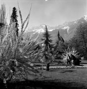 Kirche Meran Hl. Geist (Positivo) di Foto Elisabeth Fuchs-Hauffen, Überlingen/Bodensee,Fuchs-Hauffen, Elisabeth (1977/04/01 - 1977/04/43)