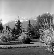 Kirche Meran Hl. Geist (Positivo) di Foto Elisabeth Fuchs-Hauffen, Überlingen/Bodensee,Fuchs-Hauffen, Elisabeth (1977/04/01 - 1977/04/43)