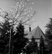 Kirche Meran Hl. Geist (Positivo) di Foto Elisabeth Fuchs-Hauffen, Überlingen/Bodensee,Fuchs-Hauffen, Elisabeth (1977/04/01 - 1977/04/43)