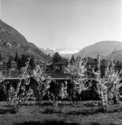 Kurhaus Meran (Positivo) di Foto Elisabeth Fuchs-Hauffen, Überlingen/Bodensee,Fuchs-Hauffen, Elisabeth (1977/04/01 - 1977/04/43)