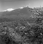 Panorama (Positivo) di Foto Elisabeth Fuchs-Hauffen, Überlingen/Bodensee,Fuchs-Hauffen, Elisabeth (1977/04/01 - 1977/04/43)