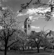Kirche Marling Pfarrkirche Maria Himmelfahrt (Positivo) di Foto Elisabeth Fuchs-Hauffen, Überlingen/Bodensee,Fuchs-Hauffen, Elisabeth (1977/04/01 - 1977/04/43)