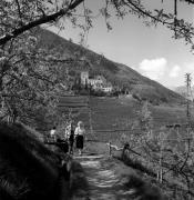 sentiero (Positivo) di Foto Elisabeth Fuchs-Hauffen, Überlingen/Bodensee,Fuchs-Hauffen, Elisabeth (1977/04/01 - 1977/04/43)
