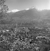 Panorama (Positivo) di Foto Elisabeth Fuchs-Hauffen, Überlingen/Bodensee,Fuchs-Hauffen, Elisabeth (1977/04/01 - 1977/04/43)