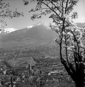 Panorama (Positivo) di Foto Elisabeth Fuchs-Hauffen, Überlingen/Bodensee,Fuchs-Hauffen, Elisabeth (1977/04/01 - 1977/04/43)