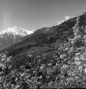 Schloß Thurnstein (Tirol) (Positivo) di Foto Elisabeth Fuchs-Hauffen, Überlingen/Bodensee,Fuchs-Hauffen, Elisabeth (1977/04/01 - 1977/04/43)