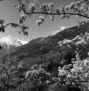 Schloß Thurnstein (Tirol) (Positivo) di Foto Elisabeth Fuchs-Hauffen, Überlingen/Bodensee,Fuchs-Hauffen, Elisabeth (1977/04/01 - 1977/04/43)