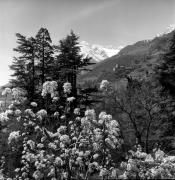 Schloß Thurnstein (Tirol) (Positivo) di Foto Elisabeth Fuchs-Hauffen, Überlingen/Bodensee,Fuchs-Hauffen, Elisabeth (1977/04/01 - 1977/04/43)