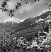 Schloß Thurnstein (Tirol) (Positivo) di Foto Elisabeth Fuchs-Hauffen, Überlingen/Bodensee,Fuchs-Hauffen, Elisabeth (1977/04/01 - 1977/04/43)