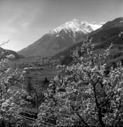 Schloß Thurnstein (Tirol) (Positivo) di Foto Elisabeth Fuchs-Hauffen, Überlingen/Bodensee,Fuchs-Hauffen, Elisabeth (1977/04/01 - 1977/04/43)