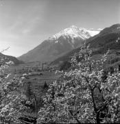 Schloß Thurnstein (Tirol) (Positivo) di Foto Elisabeth Fuchs-Hauffen, Überlingen/Bodensee,Fuchs-Hauffen, Elisabeth (1977/04/01 - 1977/04/43)