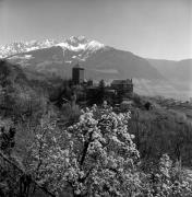 Schloss Tirol (Positivo) di Foto Elisabeth Fuchs-Hauffen, Überlingen/Bodensee,Fuchs-Hauffen, Elisabeth (1977/04/01 - 1977/04/43)