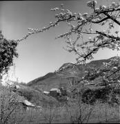 Schloß Runkelstein (Positivo) di Foto Elisabeth Fuchs-Hauffen, Überlingen/Bodensee,Fuchs-Hauffen, Elisabeth (1977/04/01 - 1977/04/43)