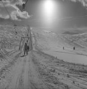 Skifahrer (Positivo) di Foto Elisabeth Fuchs-Hauffen, Überlingen/Bodensee,Fuchs-Hauffen, Elisabeth (1977/03/01 - 1977/03/31)