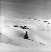 casa (Positivo) di Foto Elisabeth Fuchs-Hauffen, Überlingen/Bodensee,Fuchs-Hauffen, Elisabeth (1977/02/01 - 1977/02/28)