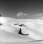 casa (Positivo) di Foto Elisabeth Fuchs-Hauffen, Überlingen/Bodensee,Fuchs-Hauffen, Elisabeth (1977/02/01 - 1977/02/28)