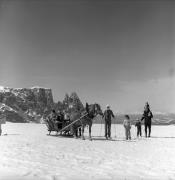 cavallo (Positivo) di Foto Elisabeth Fuchs-Hauffen, Überlingen/Bodensee,Fuchs-Hauffen, Elisabeth (1977/03/01 - 1977/03/31)