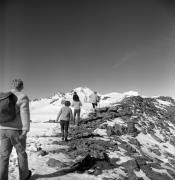 ghiacciaio (Positivo) di Foto Elisabeth Fuchs-Hauffen, Überlingen/Bodensee,Fuchs-Hauffen, Elisabeth (1977/11/01 - 1977/11/13)