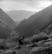 Bergbauernhof (Positivo) di Foto Elisabeth Fuchs-Hauffen, Überlingen/Bodensee,Fuchs-Hauffen, Elisabeth (1977/10/01 - 1977/11/13)