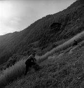 Getreideernte: Garben (Positivo) di Foto Elisabeth Fuchs-Hauffen, Überlingen/Bodensee,Fuchs-Hauffen, Elisabeth (1977/10/01 - 1977/11/13)