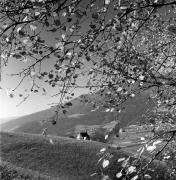 chiesa (Positivo) di Foto Elisabeth Fuchs-Hauffen, Überlingen/Bodensee,Fuchs-Hauffen, Elisabeth (1977/10/01 - 1977/10/31)
