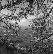 Panorama (Positivo) di Foto Elisabeth Fuchs-Hauffen, Überlingen/Bodensee,Fuchs-Hauffen, Elisabeth (1977/04/01 - 1977/04/43)