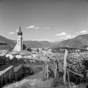 vigneto (Positivo) di Foto Elisabeth Fuchs-Hauffen, Überlingen/Bodensee,Fuchs-Hauffen, Elisabeth (1968/06/01 - 1968/06/63)